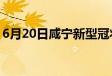 6月20日咸寧新型冠狀病毒肺炎疫情最新消息