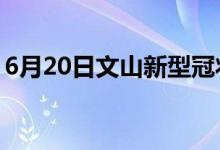 6月20日文山新型冠狀病毒肺炎疫情最新消息