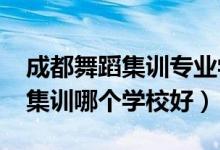 成都舞蹈集訓(xùn)專業(yè)學(xué)校（2021成都舞蹈藝考集訓(xùn)哪個(gè)學(xué)校好）