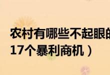 農(nóng)村有哪些不起眼的商機(jī)（藏在農(nóng)村不起眼的17個(gè)暴利商機(jī)）