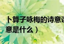 卜算子詠梅的詩(shī)意課文講解（卜算子詠梅的詩(shī)意是什么）