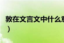 敦在文言文中什么意思（敦在文言文中的意思）