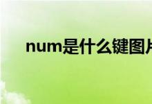 num是什么鍵圖片（num是什么詞性）