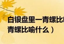 白銀盤里一青螺比喻什么動物?（白銀盤里一青螺比喻什么）