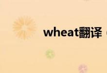 wheat翻譯（wheat可數(shù)嗎）