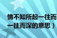 情不知所起一往而深的電視?。ㄇ椴恢?一往而深的意思）