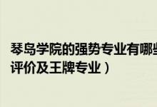 琴島學院的強勢專業(yè)有哪些（2022年青島理工大學琴島學院評價及王牌專業(yè)）