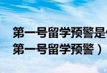 第一號留學預(yù)警是什么（教育部發(fā)布2019年第一號留學預(yù)警）