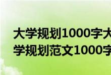 大學(xué)規(guī)劃1000字大一新生范文（大一新生大學(xué)規(guī)劃范文1000字）