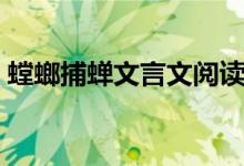 螳螂捕蟬文言文閱讀答案（螳螂捕蟬文言文）