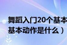 舞蹈入門20個(gè)基本動(dòng)作下叉（舞蹈入門20個(gè)基本動(dòng)作是什么）