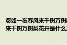 忽如一夜春風來千樹萬樹梨花開是什么季節(jié)（忽如一夜春風來千樹萬樹梨花開是什么意思）