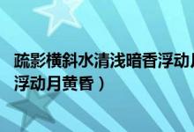 疏影橫斜水清淺暗香浮動月黃昏作者（疏影橫斜水清淺 暗香浮動月黃昏）