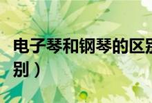 電子琴和鋼琴的區(qū)別大嗎（電子琴和鋼琴的區(qū)別）