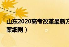 山東2020高考改革最新方案全文（2020山東新高考改革方案細(xì)則）