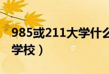 985或211大學(xué)什么意思（高等學(xué)校是指什么學(xué)校）