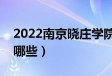 2022南京曉莊學(xué)院專業(yè)排名（最好的專業(yè)有哪些）