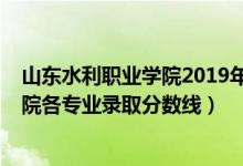 山東水利職業(yè)學(xué)院2019年分數(shù)線（2019年山東水利職業(yè)學(xué)院各專業(yè)錄取分數(shù)線）