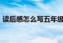 讀后感怎么寫五年級500字（讀后感怎么寫）