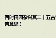 四時田園雜興其二十五古詩講解（四時田園雜興其二十五古詩意思）