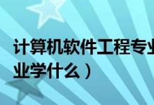 計算機(jī)軟件工程專業(yè)大學(xué)（計算機(jī)軟件工程專業(yè)學(xué)什么）