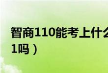 智商110能考上什么大學(xué)（智商110能考上211嗎）