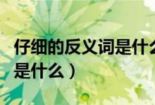 仔細的反義詞是什么標(biāo)準(zhǔn)答案（仔細的反義詞是什么）