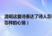 清明這首詩表達了詩人怎樣的情感（清明這首詩表達了詩人怎樣的心情）