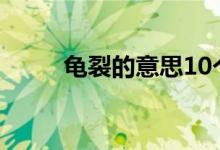 龜裂的意思10個(gè)字（龜裂的意思）