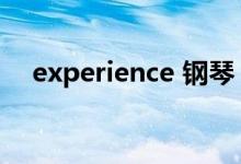 experience 鋼琴（experience可數(shù)嗎）