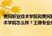 黃岡職業(yè)技術(shù)學(xué)院和黃岡科技職業(yè)學(xué)院（2022年黃岡職業(yè)技術(shù)學(xué)院怎么樣？王牌專業(yè)有哪些？）