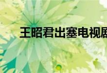 王昭君出塞電視劇46集（王昭君出塞）