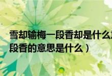 雪卻輸梅一段香卻是什么意思（梅須遜雪三分白雪卻輸梅一段香的意思是什么）