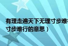 有理走遍天下無理寸步難行類似的句子（有理走遍天下無理寸步難行的意思）