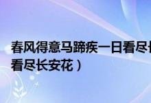 春風(fēng)得意馬蹄疾一日看盡長(zhǎng)安花全詩（春風(fēng)得意馬蹄疾 一日看盡長(zhǎng)安花）