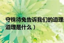 守株待兔告訴我們的道理是什么英文（守株待兔告訴我們的道理是什么）