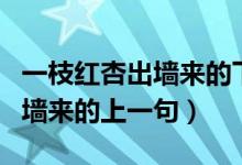 一枝紅杏出墻來的下一句上一句（一枝紅杏出墻來的上一句）