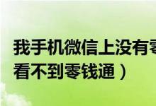 我手機微信上沒有零錢通怎么解決（我的微信看不到零錢通）