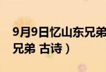 9月9日憶山東兄弟古詩完整（9月9日憶山東兄弟 古詩）