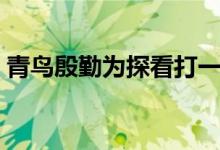 青鳥殷勤為探看打一動(dòng)物（青鳥殷勤為探看）