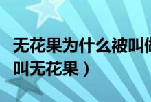無花果為什么被叫做無花果（無花果為什么被叫無花果）