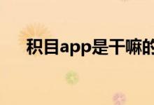 積目app是干嘛的（積目app約p記錄）