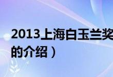 2013上海白玉蘭獎(jiǎng)（關(guān)于2013上海白玉蘭獎(jiǎng)的介紹）