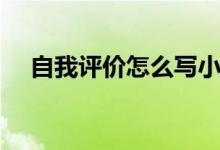 自我評價怎么寫小學(xué)（自我評價怎么寫）