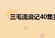 三毛流浪記40集完整版（三毛流浪記）