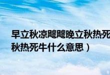 早立秋涼颼颼晚立秋熱死牛什么意思?（早立秋涼颼颼晚立秋熱死牛什么意思）