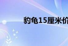 豹龜15厘米價(jià)格（豹龜怎么養(yǎng)）
