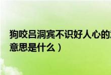 狗咬呂洞賓不識好人心的意思是（狗咬呂洞賓不識好人心的意思是什么）