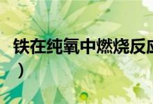 鐵在純氧中燃燒反應方程式（鐵在純氧中燃燒）