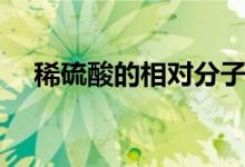 稀硫酸的相對(duì)分子質(zhì)量是多少（稀硫酸）